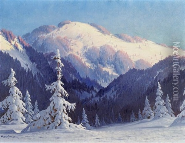 Wintertag Am Holzeck Mit Hinterwaldkopf (schwarzwald, Nordl. Feldberg) Oil Painting - Karl Hauptmann