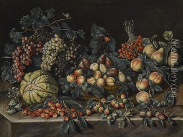 Still Life With Grapes, Melon, Peaches, Apricots, Prunes, Strawberry Trees And Berries Oil Painting - Agostino Verrocchi