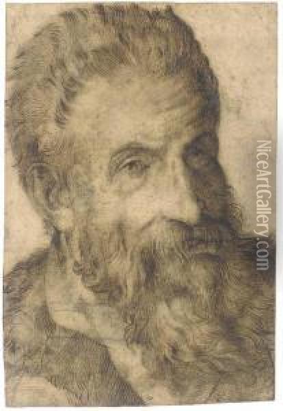 Portrait Of A Bearded Man Looking To The Right, Said To Bepellegrino Tibaldi Oil Painting - Bartolomeo Passarotti