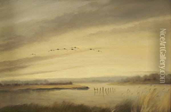 Ducks Flighting In The Wexford Slobs Oil Painting - Robert Johnson