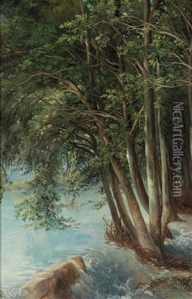 Baume Am Flusufer Oil Painting - Friedrich Salathe
