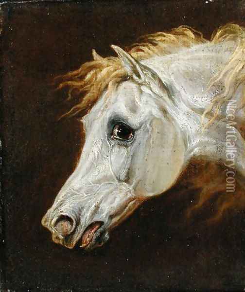 Head of a Grey Arabian Horse Oil Painting - Martin Theodore Ward