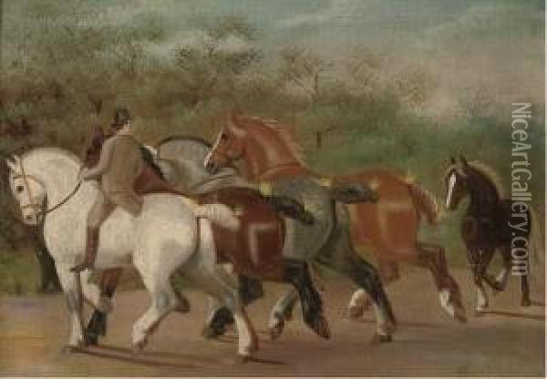 Shire-horses At Exercise Oil Painting - Henry William Standing