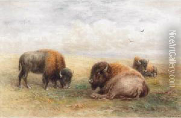 Group Of Bison Oil Painting - Frederick Arthur Verner