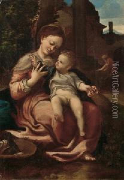 Madonna Con Il Bambino (madonna Della Cesta) Oil Painting - Girolamo da Carpi