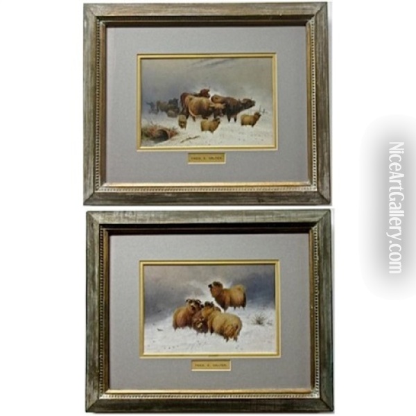 Highland Cattle And Sheep Caught In A Snow Drift Oil Painting - Frederick E. Valter