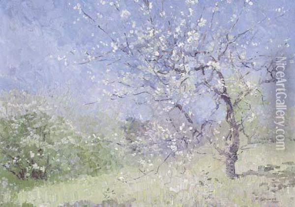 Blossoms Oil Painting - Elioth Gruner