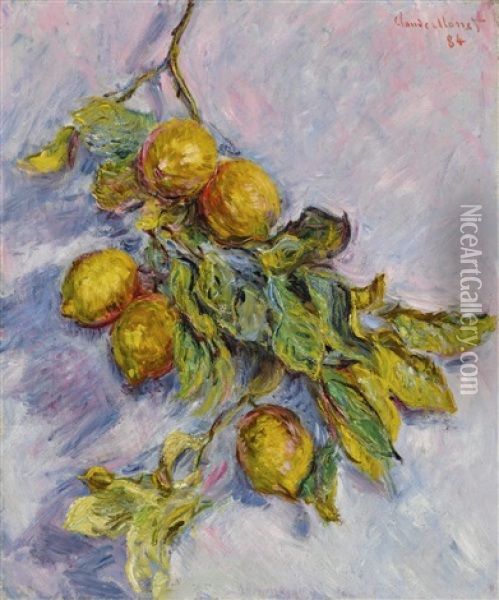 Citrons Sur Une Branche Oil Painting - Claude Monet