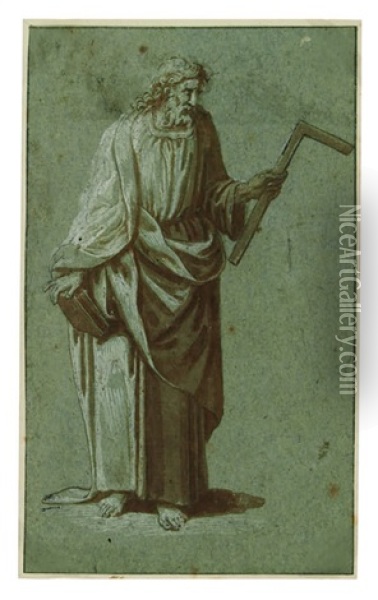 Der Apostel Thomas In Ganzer Figur Oil Painting - Domenico (del Riccio) Brusasorci
