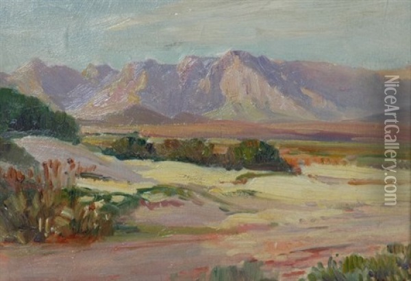 Extensive Landscape With Distant Mountains Oil Painting - Pieter Hugo Naude