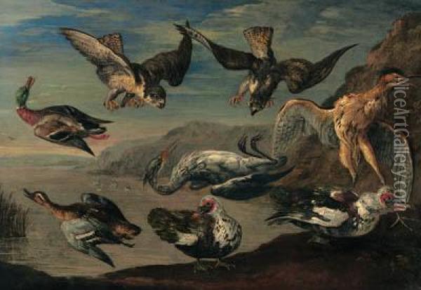 Birds Of Prey Attacking Herons And Ducks By A Pond Oil Painting - Jan van Kessel