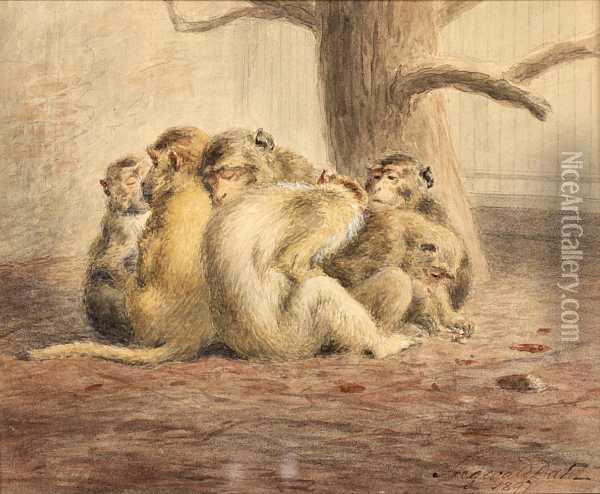 Apefamilie Oil Painting - Siegwald Johannes Dahl