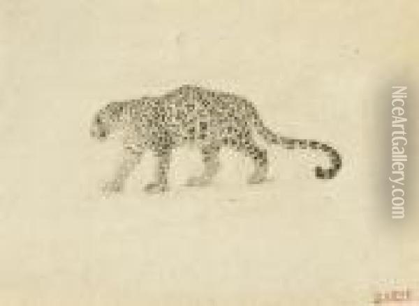 Study Of A Leopard Oil Painting - Antoine-louis Barye