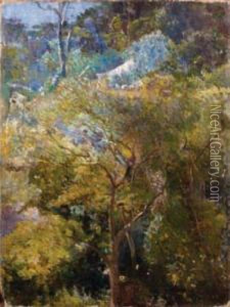 Le Jardin Tropical Oil Painting - Eliseo Visconti