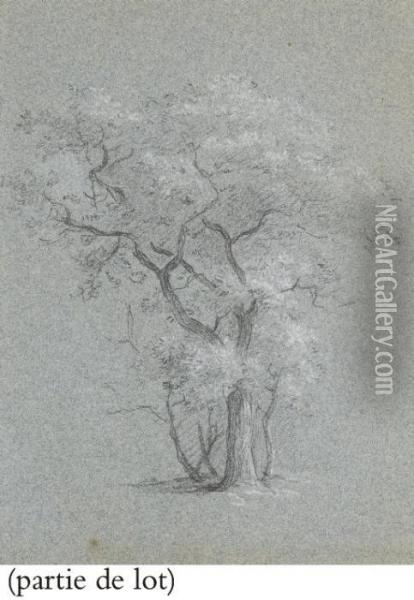 Suite De Deux Etudes D'arbres Et Deux Paysages Oil Painting - Jean-Baptiste Huet I
