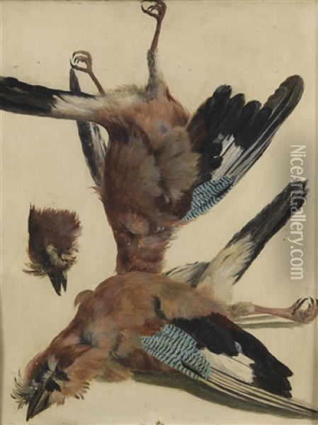 Study Of Jays Oil Painting - Emile Jean Horace Vernet