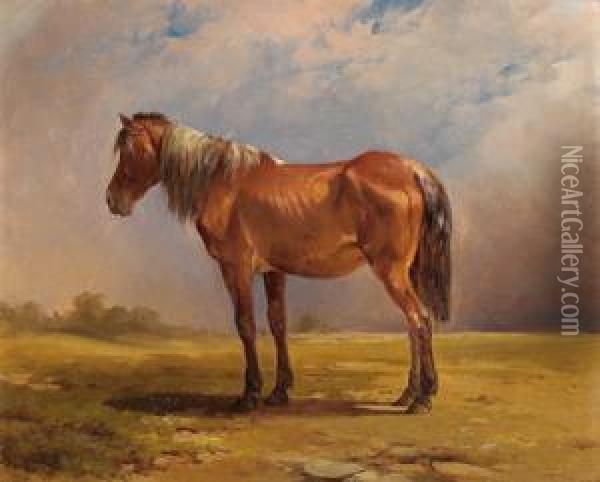 Ein Pferdeportrat Oil Painting - Edmund Mahlknecht