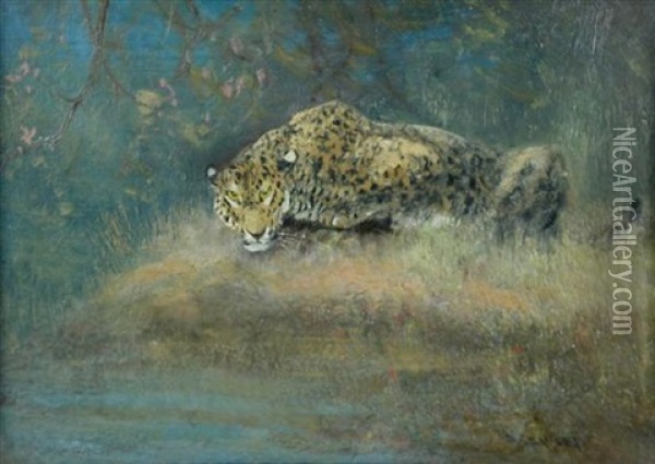 Leopard Oil Painting - Cuthbert Edmund Swan