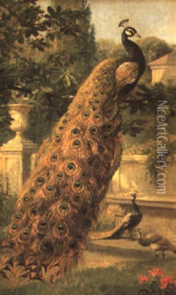 Peacocks In A Park Oil Painting - Olaf August Hermansen