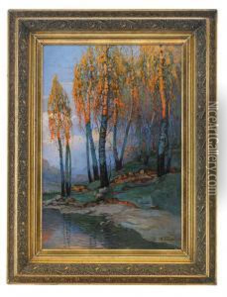 Birch Trees In The Evening Light Oil Painting - Mikhail Markelovich Guzhavin