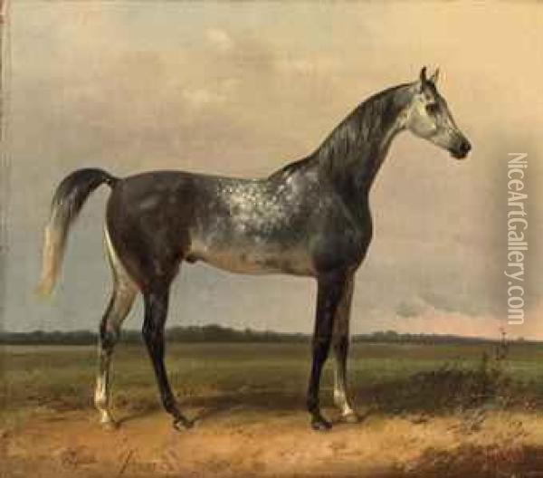 A Gray Horse In The Meadow Oil Painting - Alois Bach