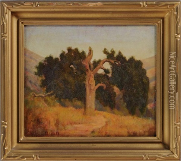 The Old Monte Vida Oak Oil Painting - Charles Jacob Hittell