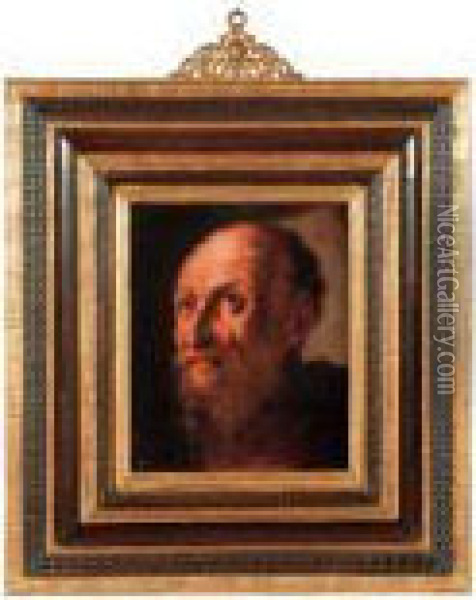 Ritratto Di Vecchio Barbuto Oil Painting - Pietro Della Vecchio