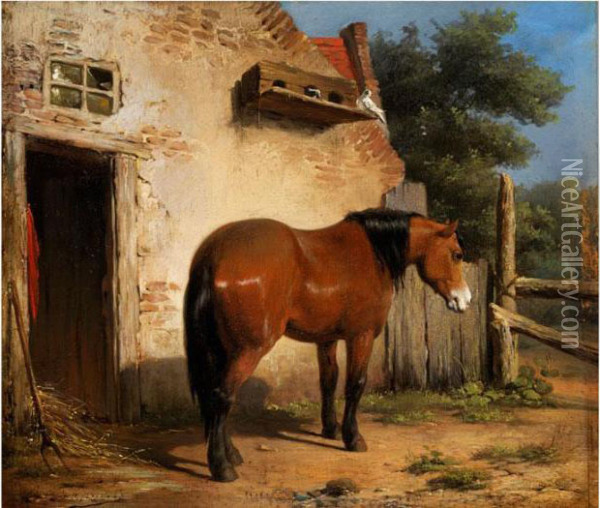 Braunes Pferd Vor Einem Stallgebaude Oil Painting - Jean Louis van Kuyck