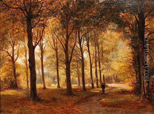 Le Bois De Haarlem In Holland Oil Painting - Everhardus Koster