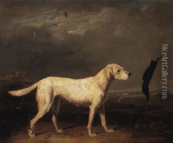 A Setter In A Landscape Oil Painting - Abraham Cooper