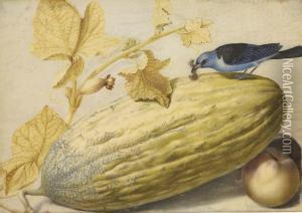 Still Life With A Bird Eating A Caterpillar, A Gourd, And Twopeaches Oil Painting - Giovanna Garzoni