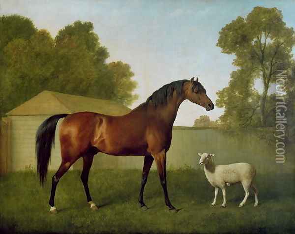 Dungannon, the property of Colonel OKelly, painted in a paddock with a sheep, 1793 Oil Painting - George Stubbs