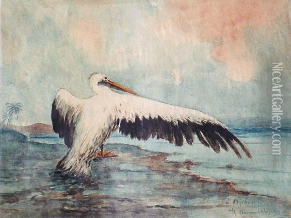Le Pelican A Djibouti Oil Painting - Robert Dumont-Duparc