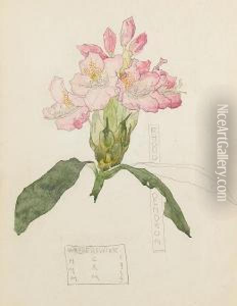 Rhododendron Oil Painting - Charles Rennie Mackintosh
