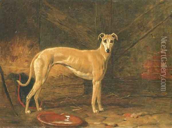 Coomassie, winner of The Waterloo Cup in 1877 and 1878 Oil Painting - Harry Hall