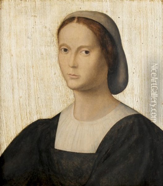 Portrait De Femme A La Coiffe Oil Painting - Jacopo de Barbari