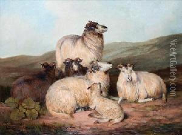 Sheep On A Moorland Oil Painting - Charles Jones
