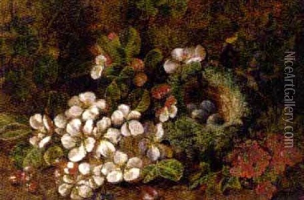 Blossom And A Bird's Nest On A Rocky Bank Oil Painting - Oliver Clare