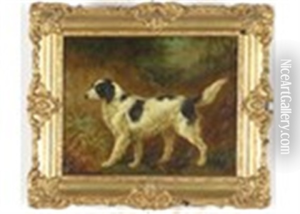 A Dog Portrait - A Setter In A Landscape Oil Painting - Edmund Bristow