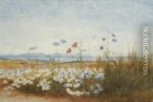View Of A Seaside Town Through Wild Flowers Oil Painting - Andrew Nicholl
