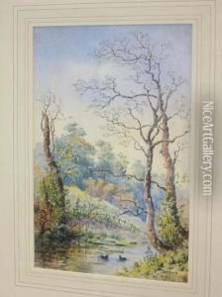 'moorhens' - 'on The Thames, Near Sonning' Oil Painting - John Parker