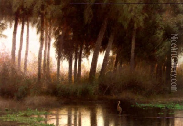 Heron In The Everglades Oil Painting - Hermann Herzog