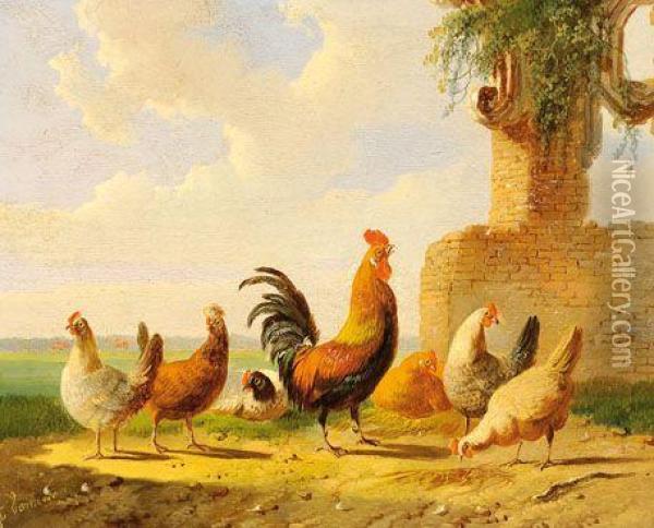 A Rooster And Six Chickens Oil Painting - Albertus Verhoesen
