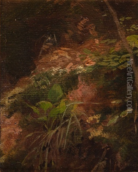 Waldboden Oil Painting - Gustav Klimt