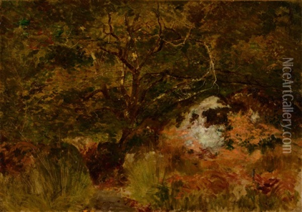 Arbres Et Rochers A Fontainebleau Oil Painting - Jean Emile Renie