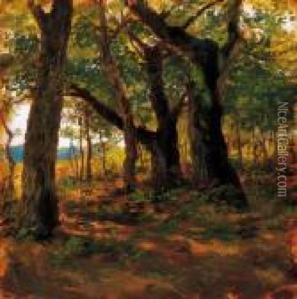 Sunlit Grove Oil Painting - Lajos Deak Ebner