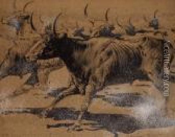 Stampeding Longhorns #2 Oil Painting - John Edward Borein