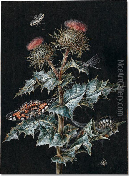 A Thistle With Two Buds, With Cobwebs, A Butterfly, A Large Caterpillar, A Spider And Two Other Insects Oil Painting - Margaretha Barbara Dietzsch