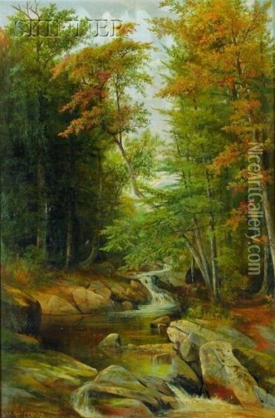 Forest And Stream Landscape Oil Painting - Samuel W. Griggs