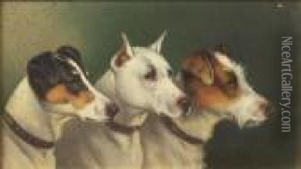 Three Terriers Oil Painting - John Arnold Wheeler